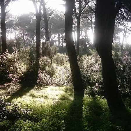 Joao De Barros Lägenhet *