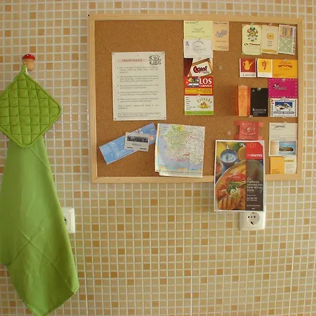 Joao De Barros Costa de Caparica