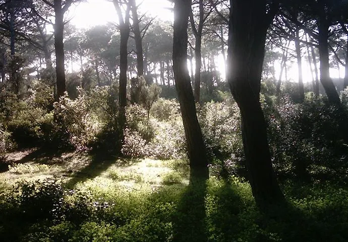 Joao De Barros Lejlighed *