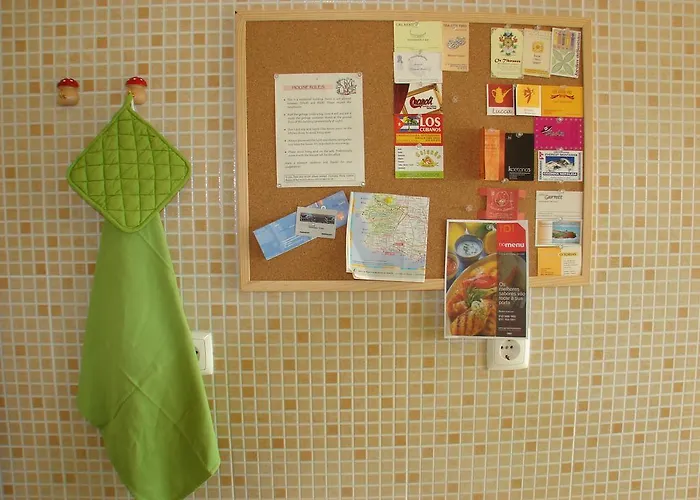 Joao De Barros Costa de Caparica